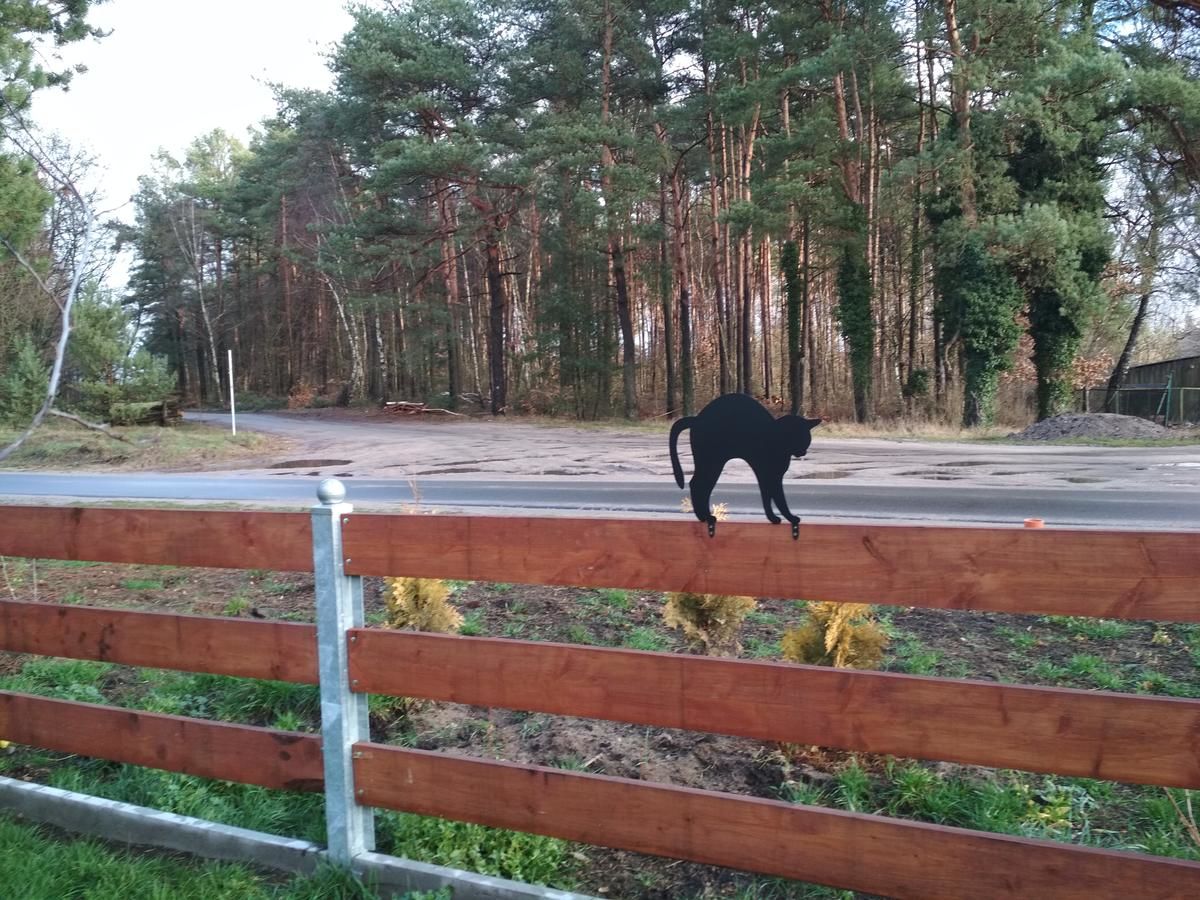 Фермерские дома Koci Grzbiet Agroturystyka Dzierżążno Wielkie-20