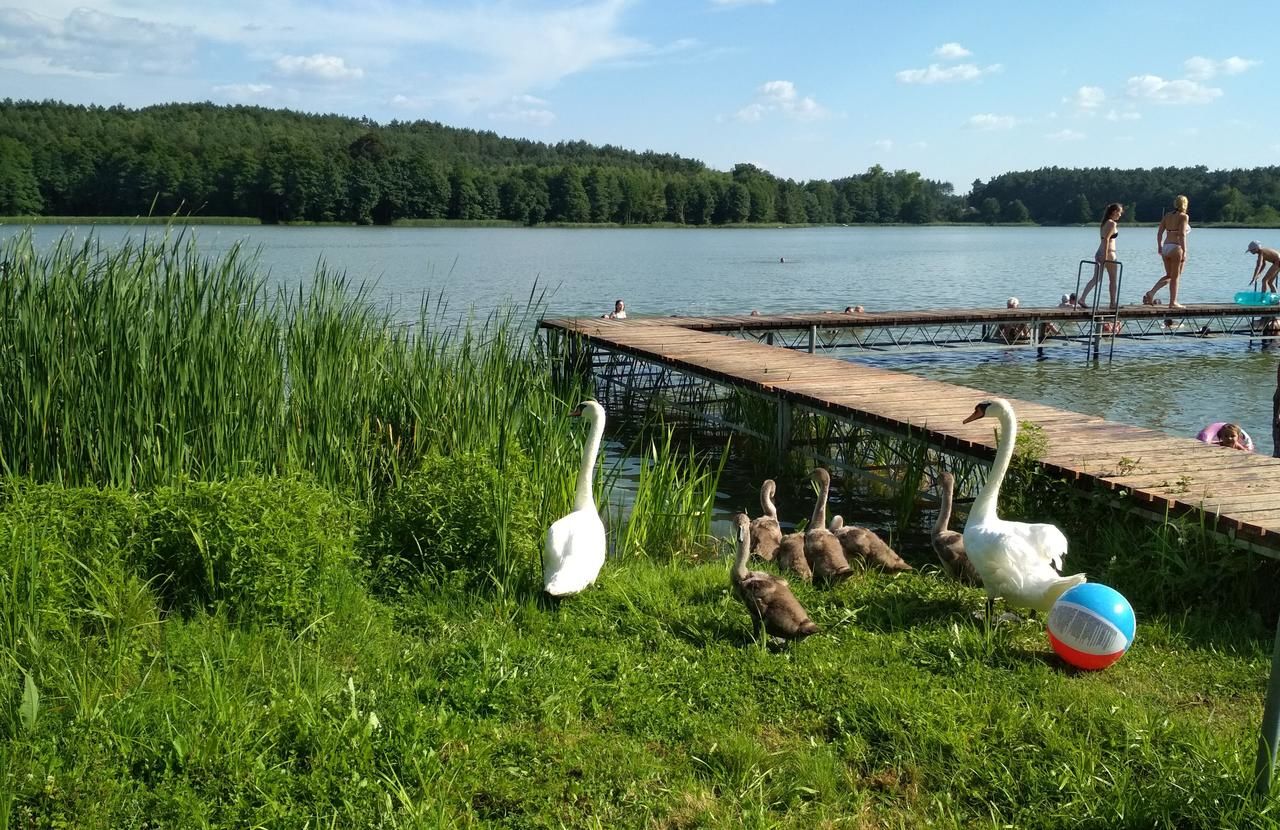 Фермерские дома Koci Grzbiet Agroturystyka Dzierżążno Wielkie-7